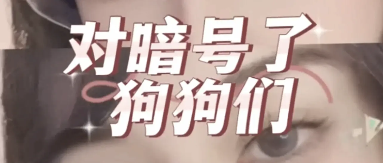 西檬之家-字母圈新人如何入圈？BDSM安全指南与核心术语解析