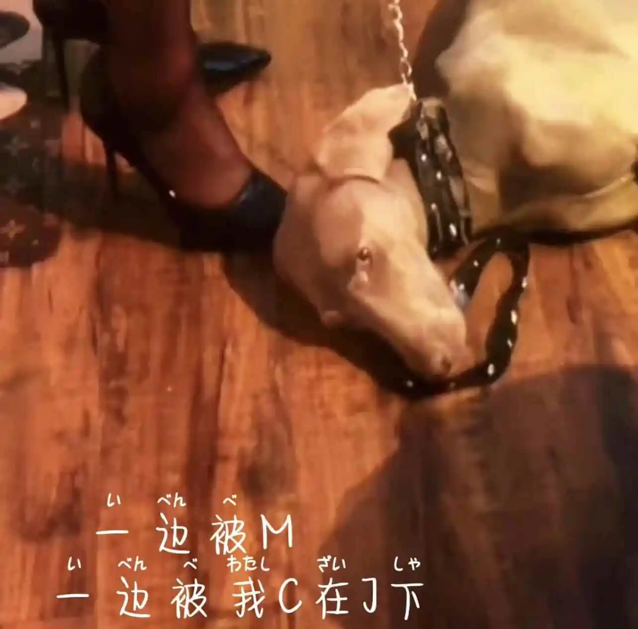 西檬之家-ddlg是什么？解析字母圈中的特殊关系