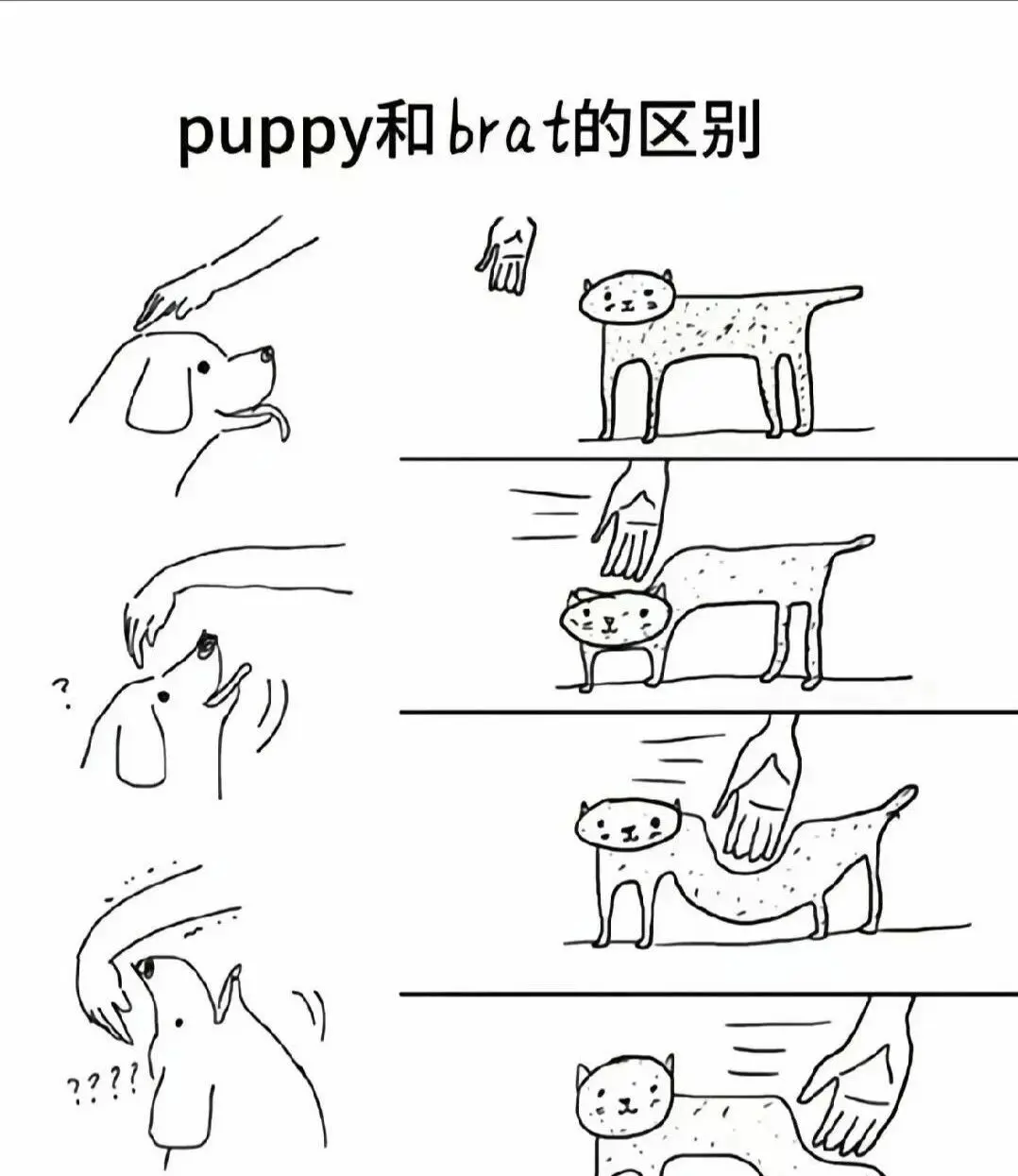 【西檬之家】字母圈的Aftercare是什么？新人必读指南