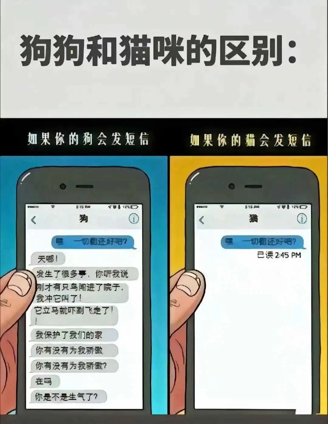 西檬之家-字母圈女王是什么意思？新人必读术语指南