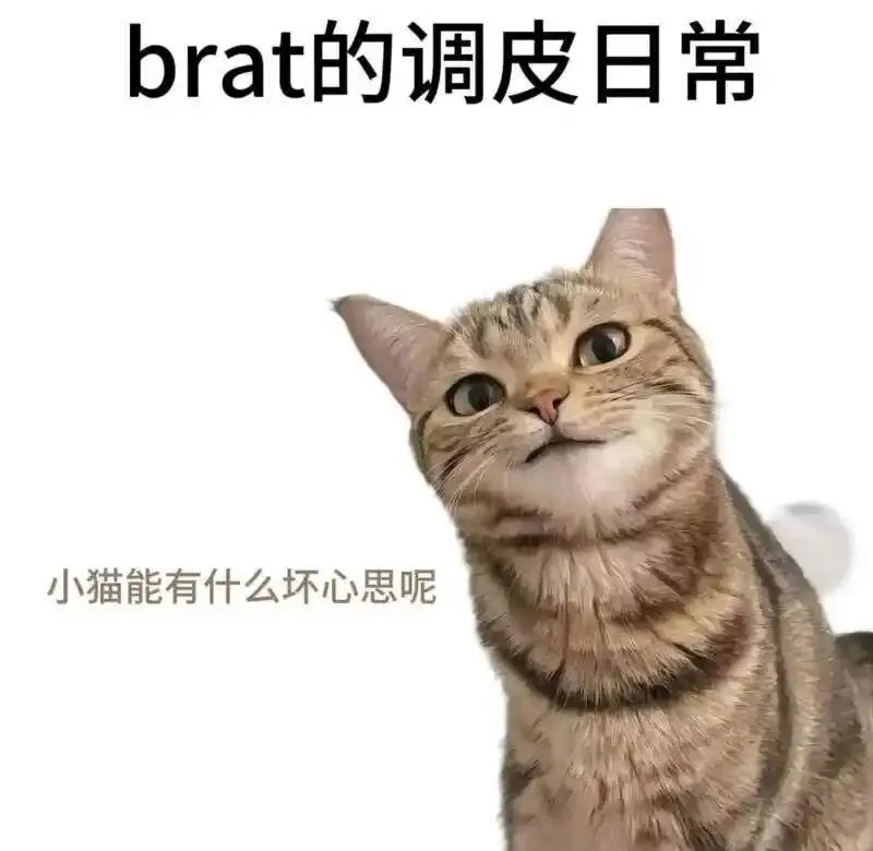 西檬之家-字母圈SP实践指南