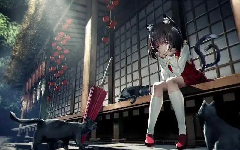 BD - 2023_12_06_21_17_IMG_9224