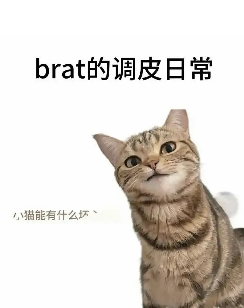 【西檬之家】PE是什么？BDSM核心权力交换入门指南